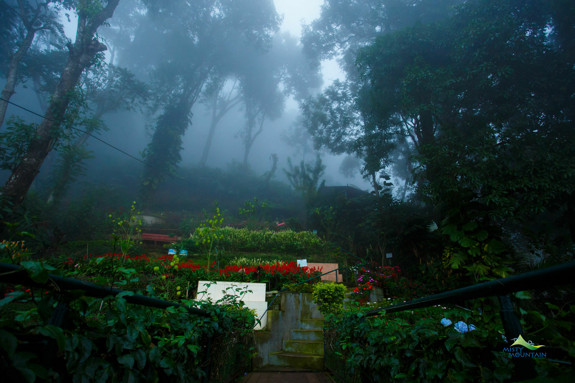 Misty Mountain Resort Munnar Exteriér fotografie