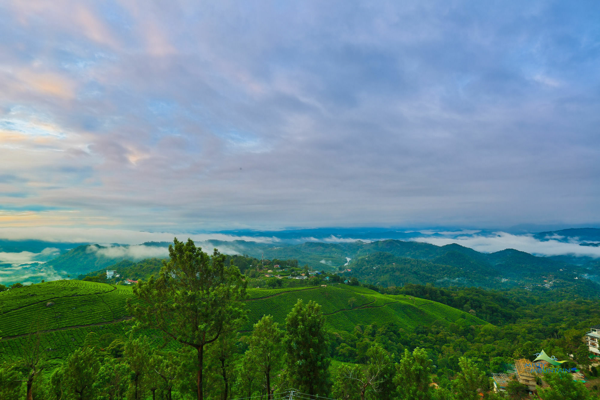 Misty Mountain Resort Munnar Exteriér fotografie